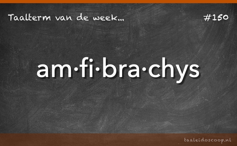 Taalterm: Amfibrachys