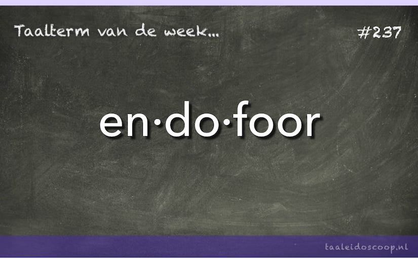 Taalterm: Endofoor