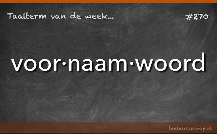 Taalterm: Voornaamwoord