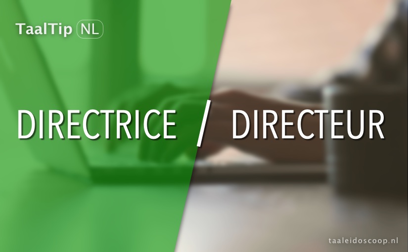 Directrice vs. directeur