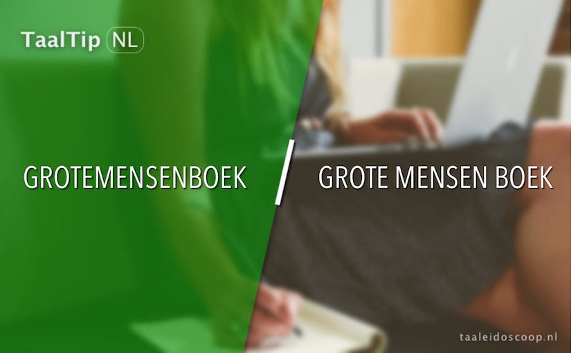 Grotemensenboek vs. grote mensen boek