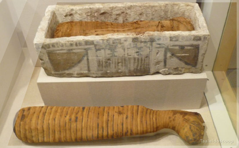 Wat hebben de woorden ‘sarcofaag’ en ‘carnivoor’ met elkaar gemeen?