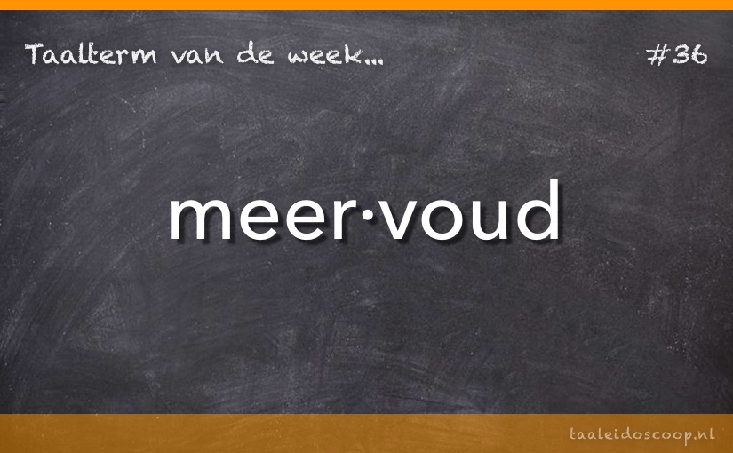 Taalterm: Meervoud
