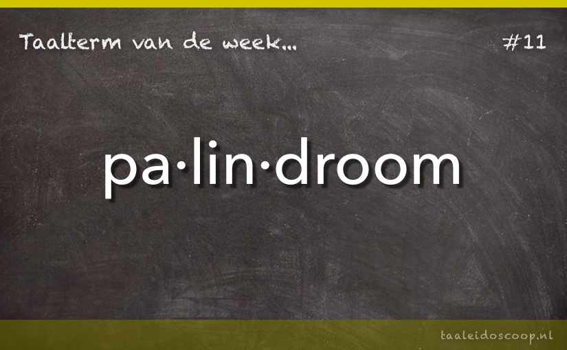 Taalterm: Palindroom