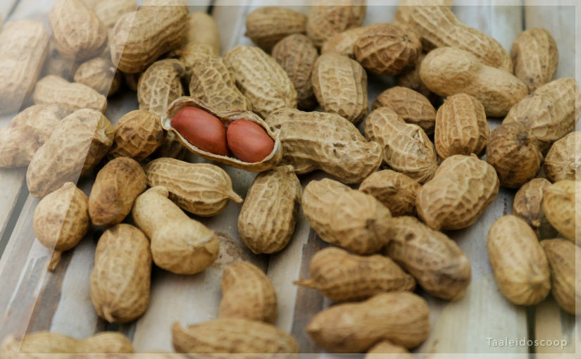 Butter, kaas en plasma