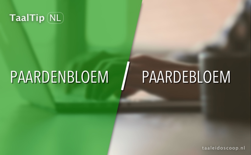 Paardenbloem vs. paardebloem
