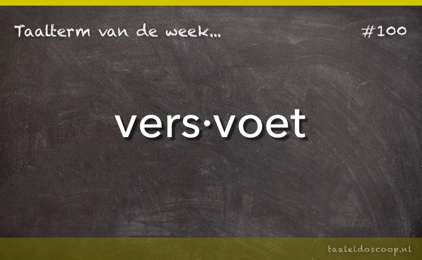Taalterm: Versvoet