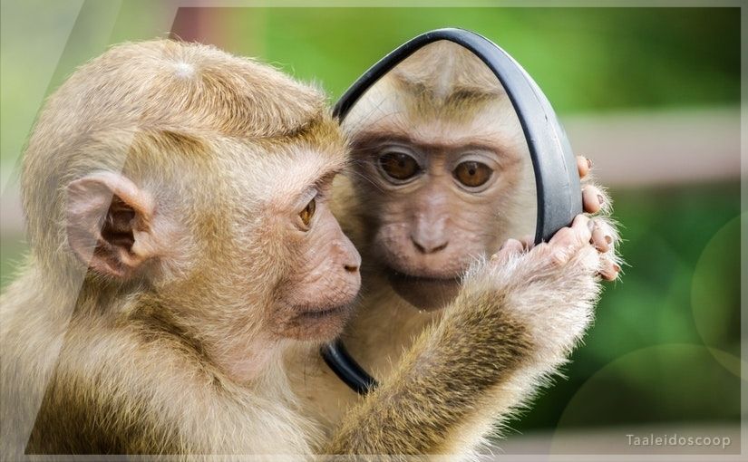 Wat gebeurt er met wederkerende werkwoorden in de lijdende vorm?